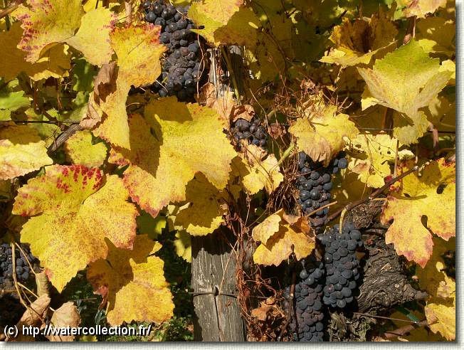 Diapositive suivante